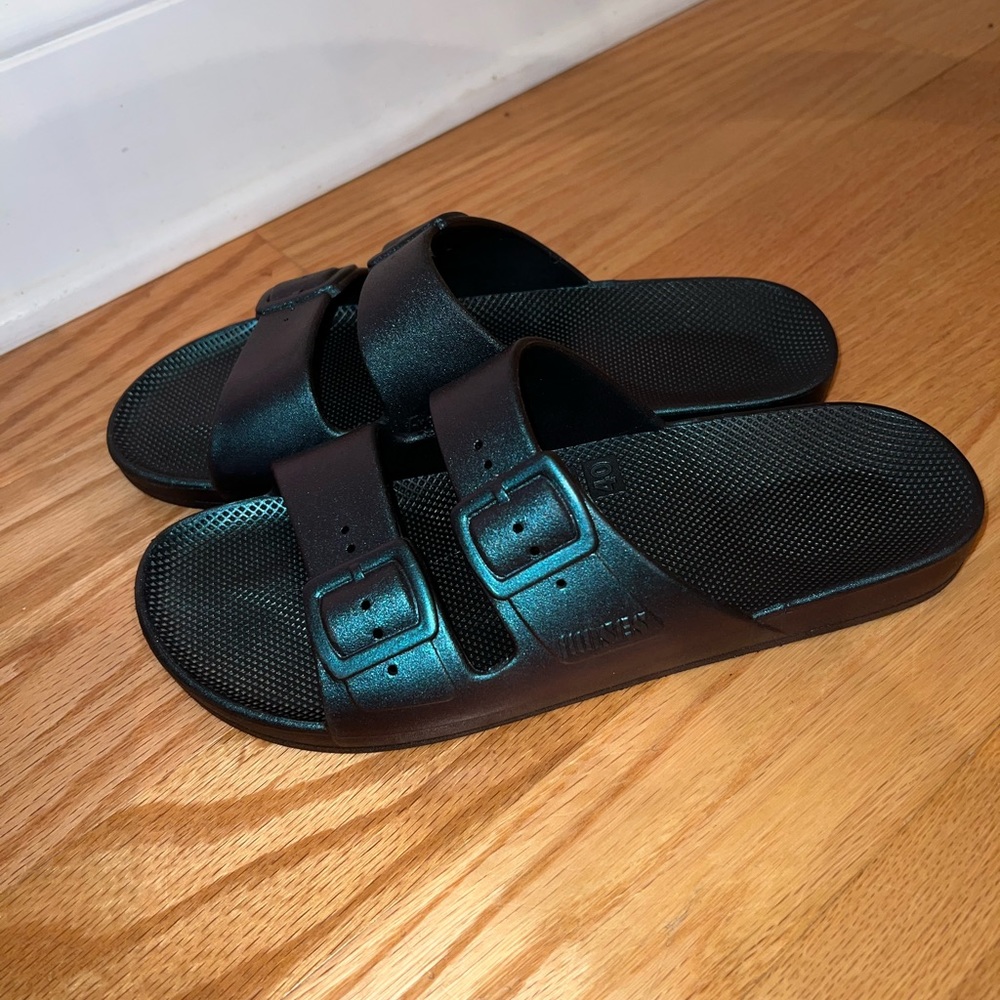 Freedom Moses Slides